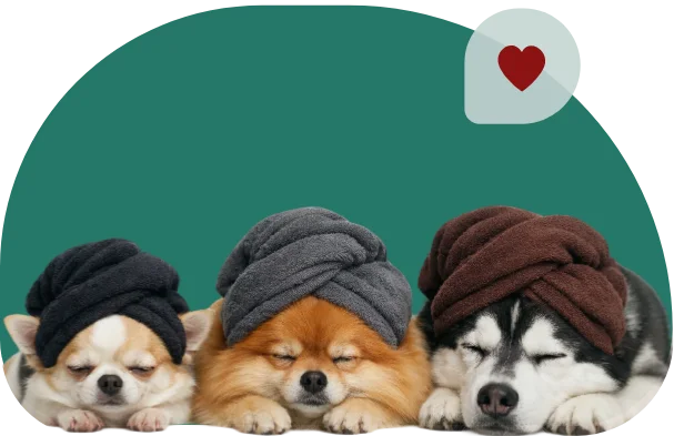 Собаки в полотенцах после ухода